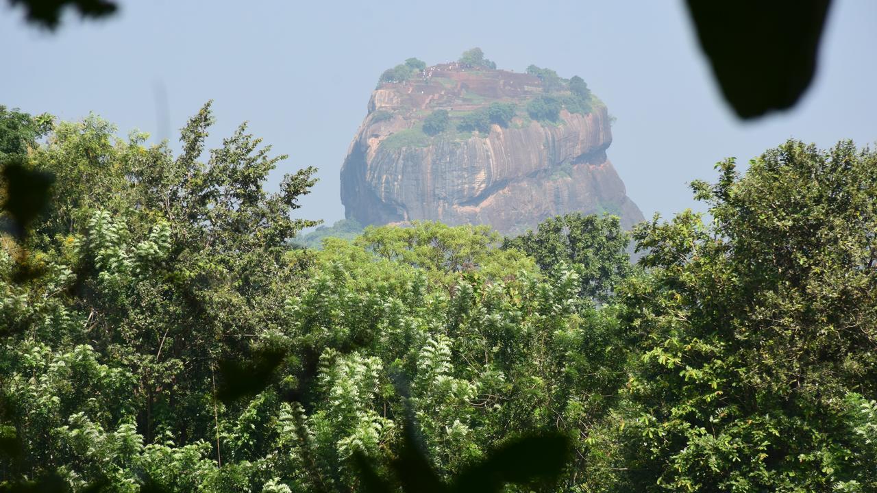 Sigiri Sarilco Rock View Treehouse Villa Sigiriya Ngoại thất bức ảnh