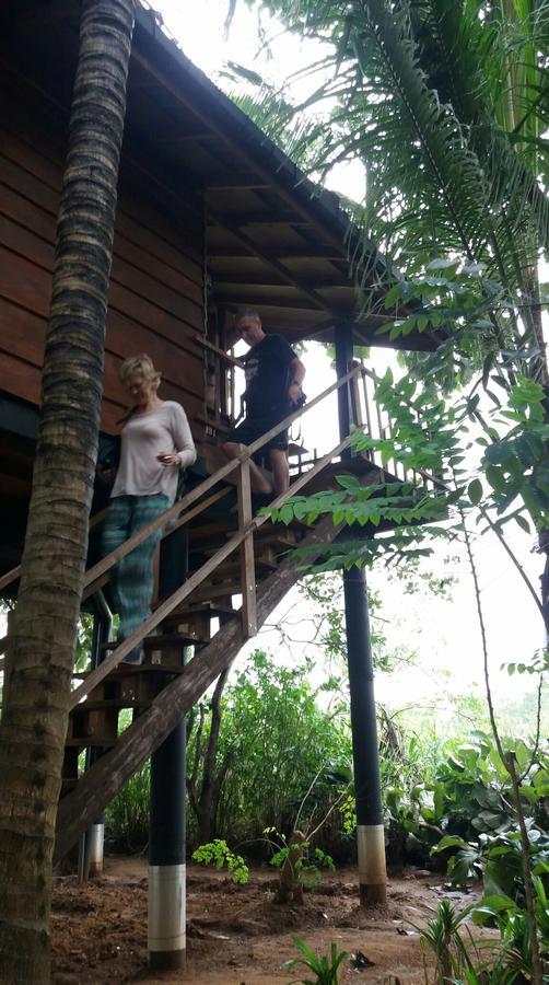 Sigiri Sarilco Rock View Treehouse Villa Sigiriya Ngoại thất bức ảnh